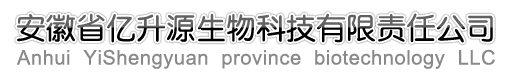 Ї_W(wng)ꖾW(wng)j˾